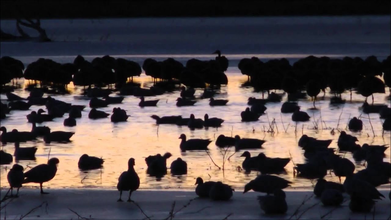 Northwest Territories - YouTube