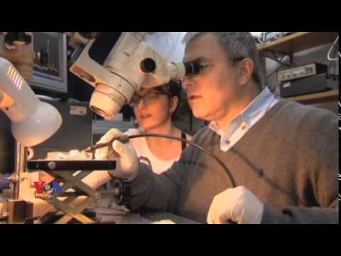 ლაზერით მკურნალობის ახალი მეთოდები