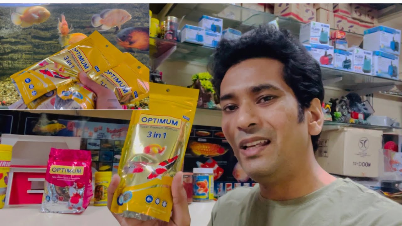 Fish Pellets | Buying Fish Food | Optimum 3 in 1 | Fish pellets for the aquarium fishes | Aqua Vlog