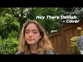 Hey There Delilah - Cover