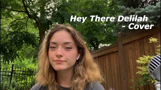 Hey There Delilah - Cover Resimi