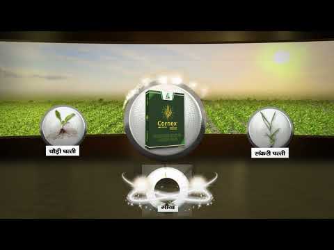 Cornex Launch Teaser