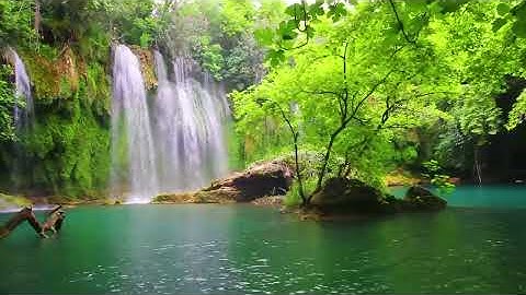 Deep Healing Music, Healing Your Nervous System, Instant Relief from Stress and Anxiety, Calm Nature