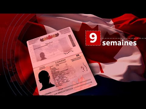 Vidéo: Votre passeport a-t-il déjà été révoqué ?