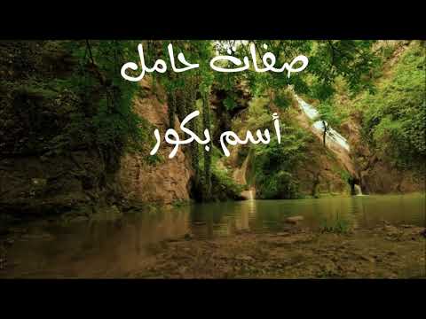 معنى أسم بكور 