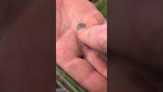 Silver Medieval Elizabeth 1st portcullis hammered coin #metaldetecting #treasure #silver #rare