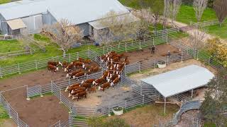 'Cumberoona' 1533 Woodville Road, Crookwell