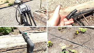How to Set Up an Automatic Irrigation System in Your Garden Guide