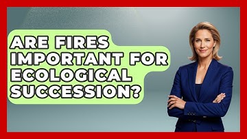 Are Fires Important for Ecological Succession? | Explaining Ecology News