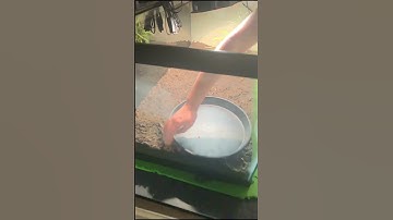 Setup this 40g for this little eastern box turtle. #terrarium #turtle #boxturtle #aquatic #reptile