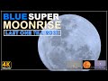 Super Blue Moonrise and Ultra Zoom (Nikon P1000) - August 2023 (4K)