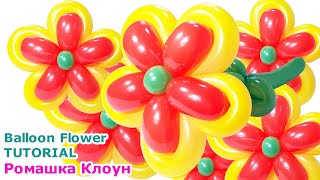 ДВУХЦВЕТНЫЙ ЦВЕТОК ИЗ ШАРОВ как сделать Balloon Flower Tutorial Flores con globos