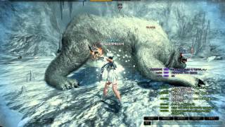 Mabinogi : Heroes (Vindictus) [Test Server] - White Tyrant's Challenge (Hero mode)