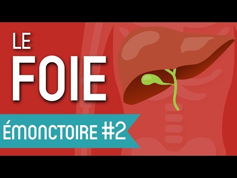 Vidéo: Comment Le Foie Est-il Utile?