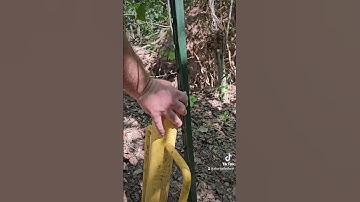 Remove T-post and be able to reuse them #fencepost #fance #farmtips