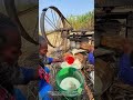 伝統的なサトウキビ圧搾機の驚異的なパワー！