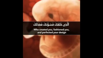 يٰۤاَيُّهَا الۡاِنۡسَانُ مَا غَرَّكَ بِرَبِّكَ الۡكَرِيۡمِ | سورة الانفطار