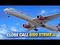 Virgin Atlantic A350-1000 Near Bird Strike ⚠️ on Final Approach | Must Watch !