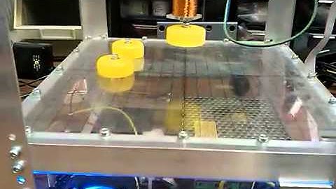 Delta robot - automatic line making