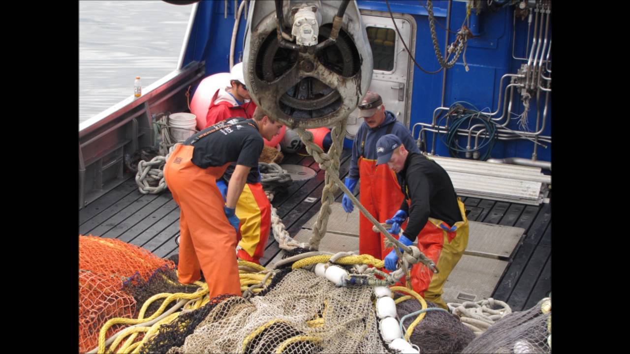 De vis wordt duur betaald J&L - YouTube