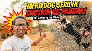 Mere ishare pe seru ne chujje ko pakra..