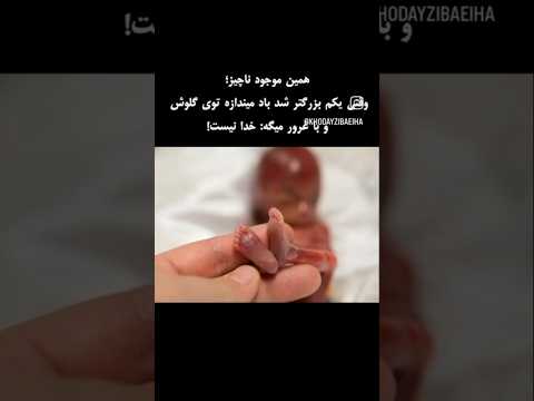 در جواب به حماقت عده ای ویدیو قبل هست که از روی لجاجت خدا را انکار میکنند خدا الله انگیزشی