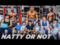 Fitness influencers expose the industry  natty or not