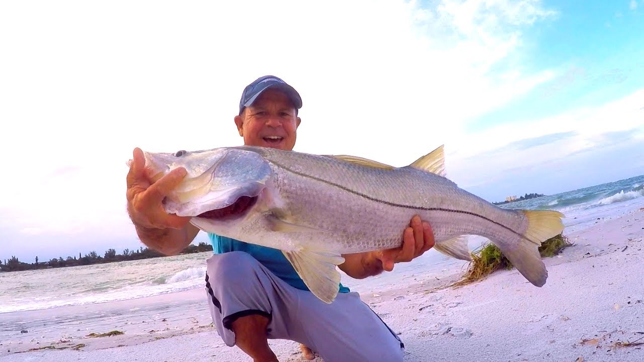 Awesome day today with Mitch, Jarrett, dawn and Mandy. Spent most of our  3/4 day bottom fishing. Catching a nice scamp and a smaller one