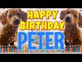 Happy Birthday Peter! ( Funny Talking Dogs ) What Is Free On My Birthday
