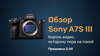 Sony A7S III король видео, которому пора на покой. Прошивка 3.00