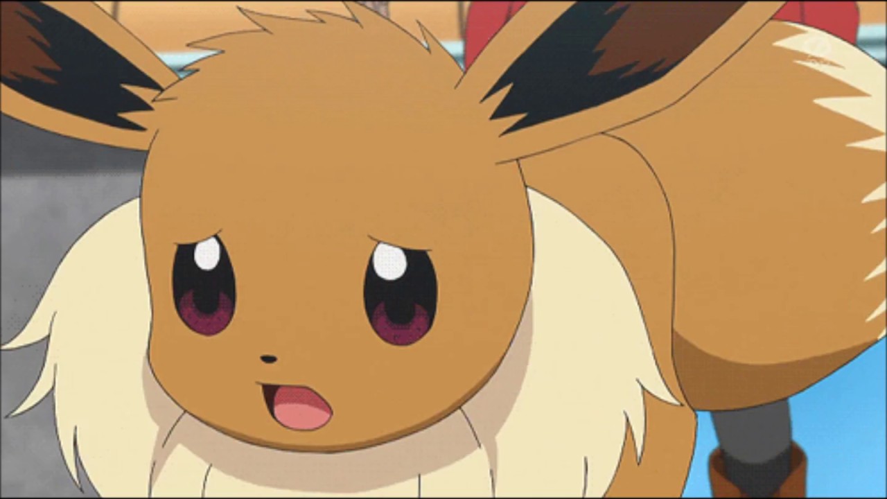 Eevee Kawaii, Avisos de Eevee Kawaii.