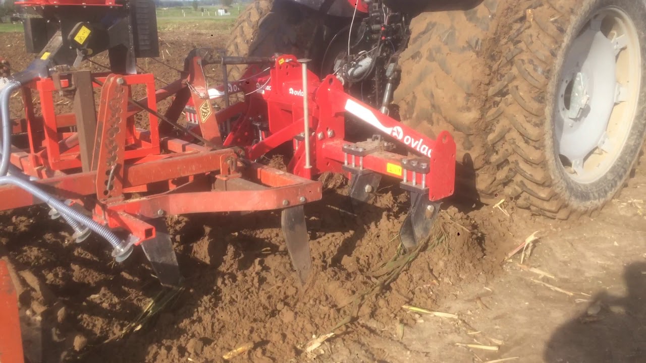 groenbemester zaaien met Ovlac diepwoeler