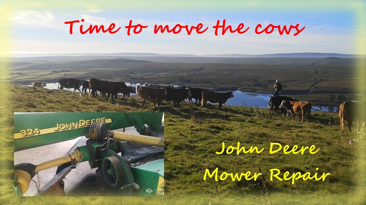 John Deere 324 Mower repair and moving the cows.