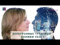 Электронные трудовые книжки 2020 г.