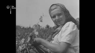 Elbe - Eger | Fahrt durch den westlichen Sudetengau | 1940