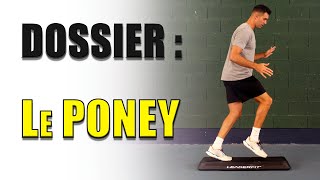 Dossier : le PONEY en step !