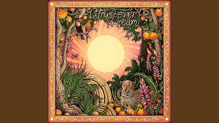 Jade - Emancipator & Cloudchord