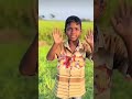 raju ai dakho ami dhol bajacchi
