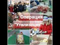 ОПЕРАЦИЯ "УТИЛИЗАЦИЯ"/УНИЧТОЖАЕМ ПРОСРОК И ТУХЛЯТИНУ