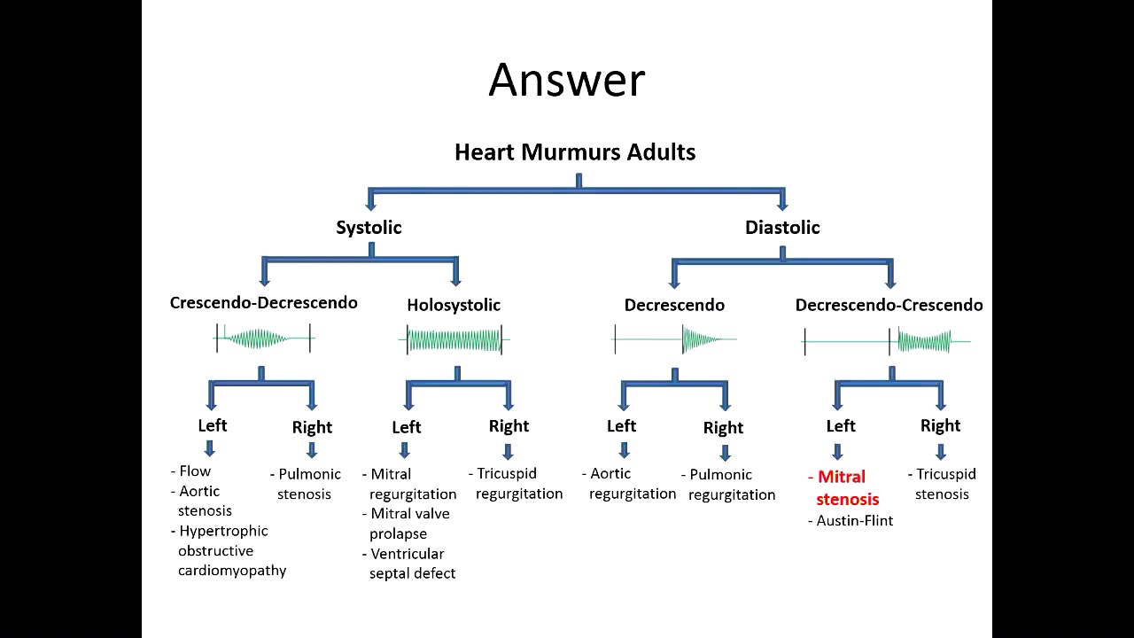 Heart Murmurs Questions And Answers Youtube