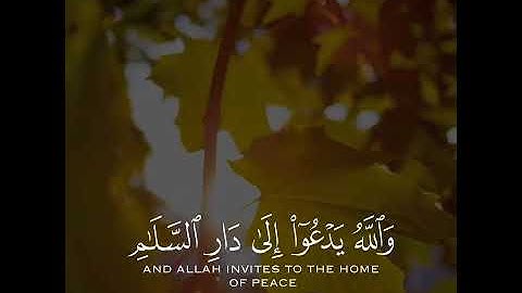 والله يدعو الى دار السلام حالات واتس اب قران كريم