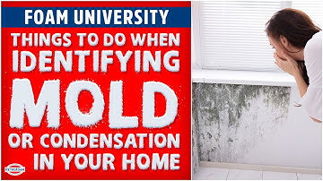 Things to Do When Identifying Mold Types or Condensation in the Home | Foam University