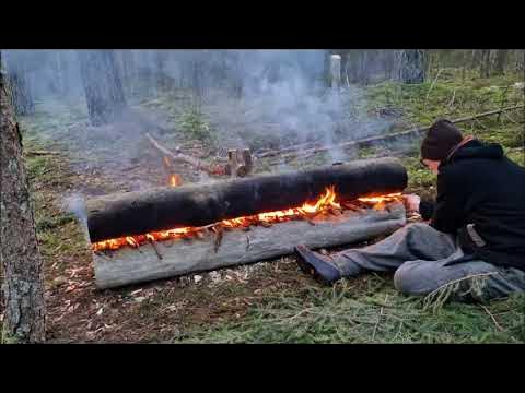 Making a Sami nuorssjo, the best long log fire