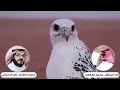 اداء المنشد محمد المعارك