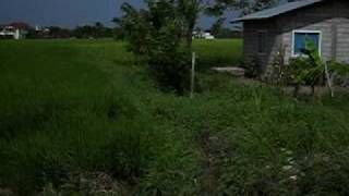 MVI_0429.avi