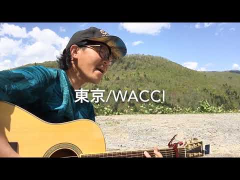 【cover】東京/wacci