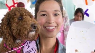 The Pooches Of Poochapalooza