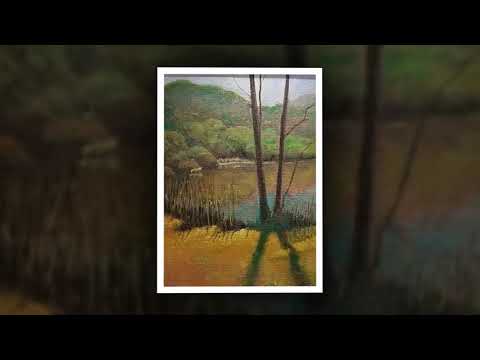 Asheville Oil Painter, Tebbe Davis - Video by Mountain Made Art Gallery