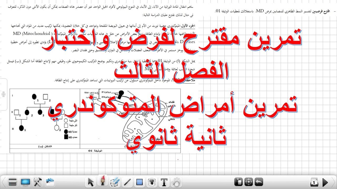 تمرين مقترح لفرض الفصل الثالث :أمراض الميتوكوندري علوم طبيعية السنة الثانية ثانوي