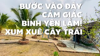 Cần gấp tiền chữa bệnh anh Trà đành chia tay nhà vườn ngay ở TP Bà Rịa